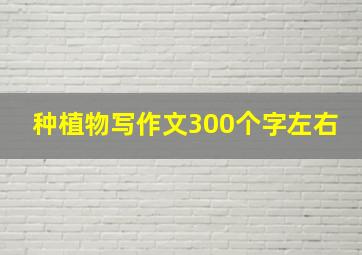 种植物写作文300个字左右