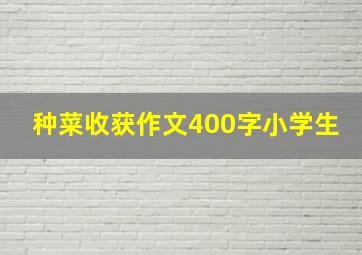 种菜收获作文400字小学生