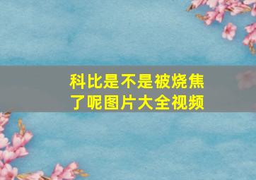 科比是不是被烧焦了呢图片大全视频