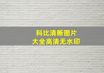 科比清晰图片大全高清无水印