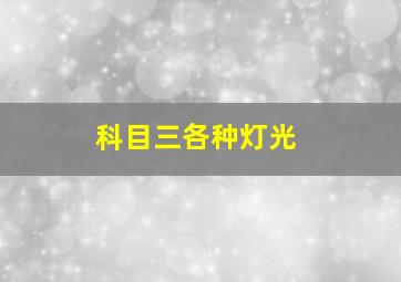 科目三各种灯光