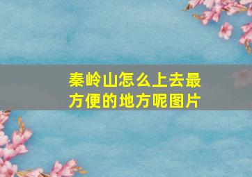 秦岭山怎么上去最方便的地方呢图片