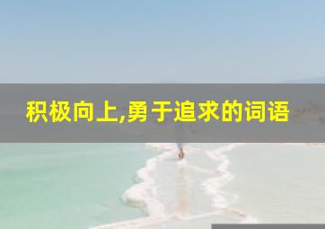 积极向上,勇于追求的词语