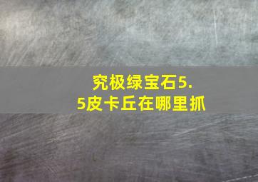 究极绿宝石5.5皮卡丘在哪里抓