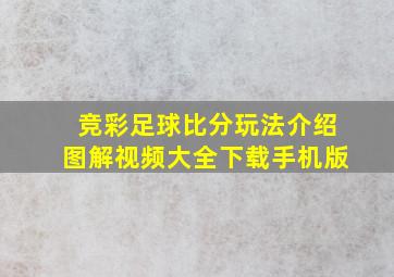 竞彩足球比分玩法介绍图解视频大全下载手机版