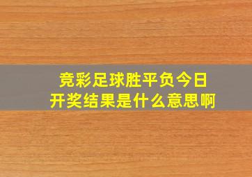 竞彩足球胜平负今日开奖结果是什么意思啊