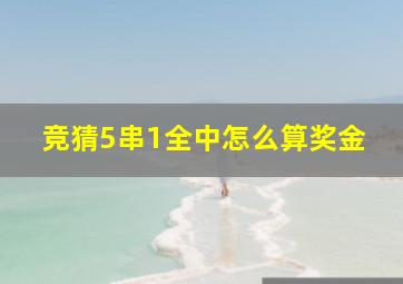 竞猜5串1全中怎么算奖金