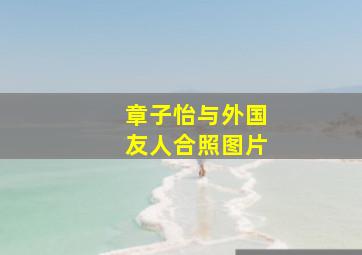 章子怡与外国友人合照图片