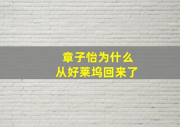 章子怡为什么从好莱坞回来了