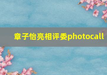 章子怡亮相评委photocall