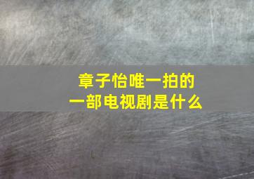 章子怡唯一拍的一部电视剧是什么