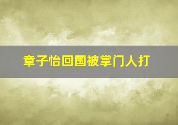 章子怡回国被掌门人打