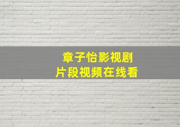 章子怡影视剧片段视频在线看