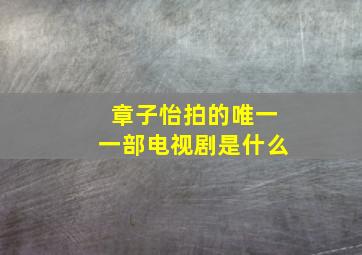 章子怡拍的唯一一部电视剧是什么