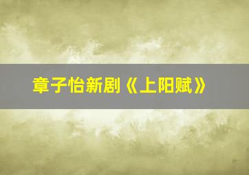 章子怡新剧《上阳赋》