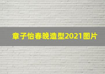 章子怡春晚造型2021图片