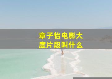 章子怡电影大度片段叫什么