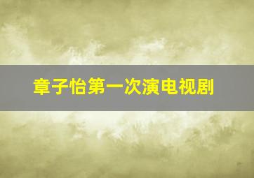 章子怡第一次演电视剧