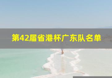 第42届省港杯广东队名单