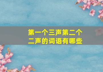 第一个三声第二个二声的词语有哪些