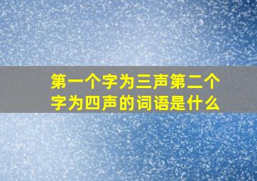 第一个字为三声第二个字为四声的词语是什么