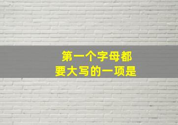 第一个字母都要大写的一项是