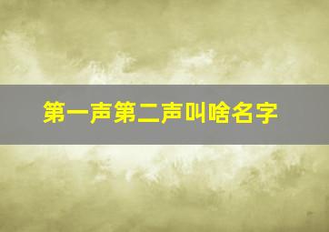 第一声第二声叫啥名字