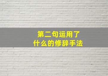 第二句运用了什么的修辞手法