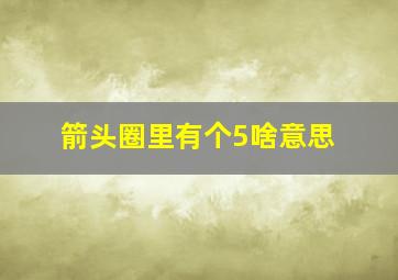 箭头圈里有个5啥意思