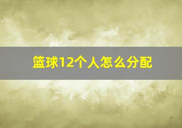 篮球12个人怎么分配