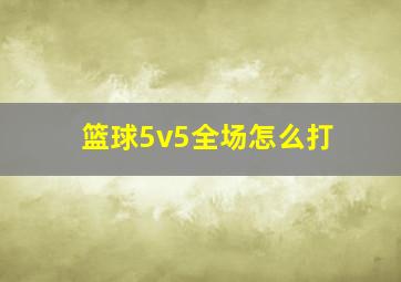 篮球5v5全场怎么打