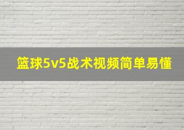 篮球5v5战术视频简单易懂