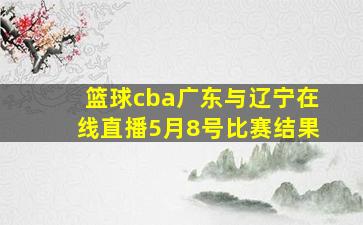 篮球cba广东与辽宁在线直播5月8号比赛结果