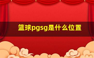 篮球pgsg是什么位置