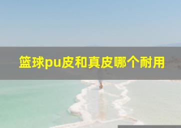 篮球pu皮和真皮哪个耐用