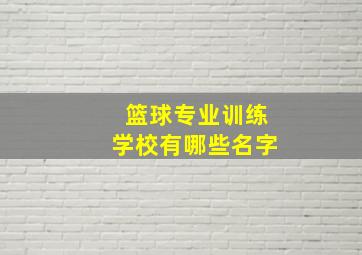 篮球专业训练学校有哪些名字