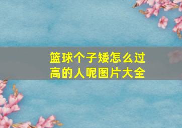 篮球个子矮怎么过高的人呢图片大全