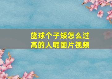 篮球个子矮怎么过高的人呢图片视频