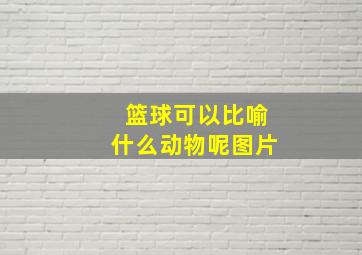 篮球可以比喻什么动物呢图片