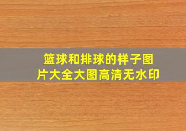 篮球和排球的样子图片大全大图高清无水印