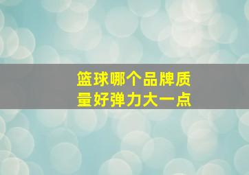 篮球哪个品牌质量好弹力大一点