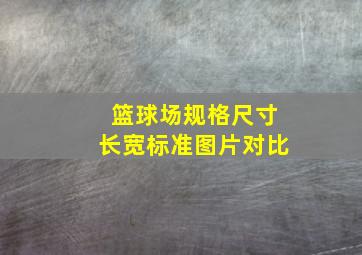 篮球场规格尺寸长宽标准图片对比