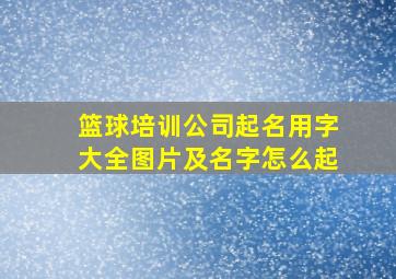 篮球培训公司起名用字大全图片及名字怎么起