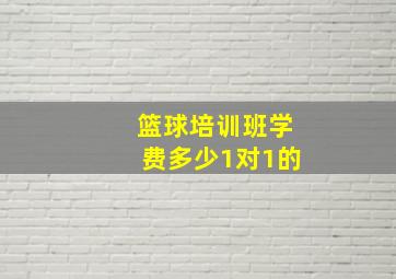 篮球培训班学费多少1对1的