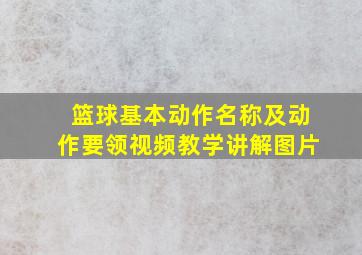 篮球基本动作名称及动作要领视频教学讲解图片