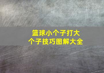 篮球小个子打大个子技巧图解大全