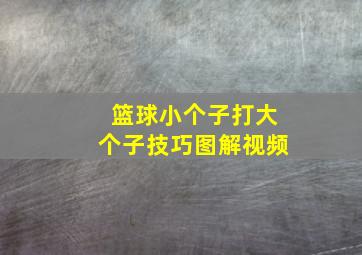 篮球小个子打大个子技巧图解视频