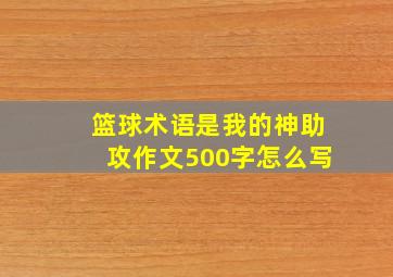 篮球术语是我的神助攻作文500字怎么写