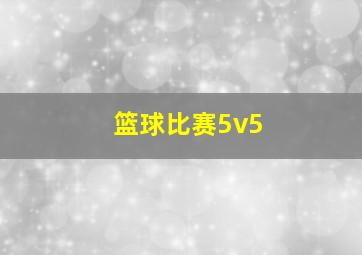 篮球比赛5v5