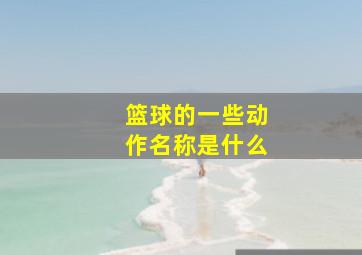 篮球的一些动作名称是什么